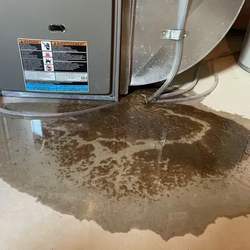 Appliance Leak Cleanup in Elmendorf, TX